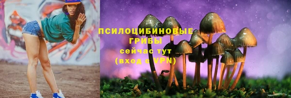 спайс Верхний Тагил