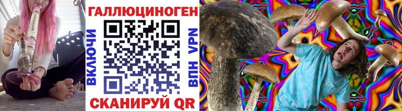 ссылка на мегу ТОР  Тамбов  Галлюциногенные грибы Magic Shrooms 